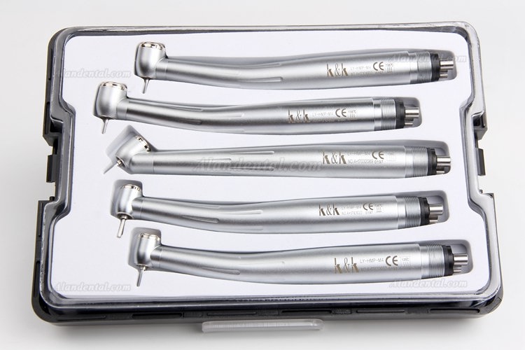 LY H502 High Speed Turbine Handpiece Kit Torque/Standard/45 Degree Head 2/4 Holes